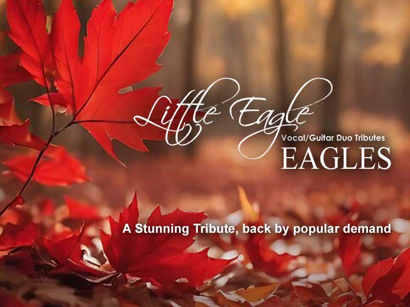 A Stunning Tribute to The Eagles – Live with 'Little Eagle'!